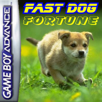 Fast Dog Fortune